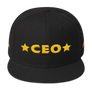 CEO Snapback