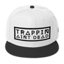Trapping Aint Dead Snapback