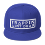 Trapping Aint Dead Snapback