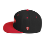 CRIME PAYS SNAPBACK