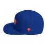 CRIME PAYS SNAPBACK