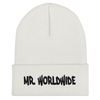 Mr. Worldwide Beanie