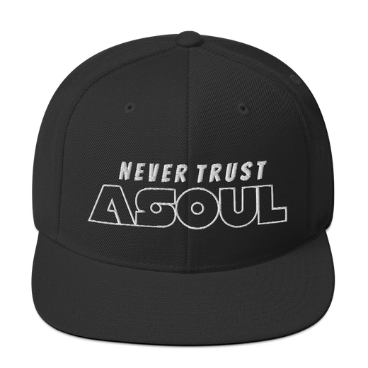 NEVER TRUST A SOUL SNAPBACK