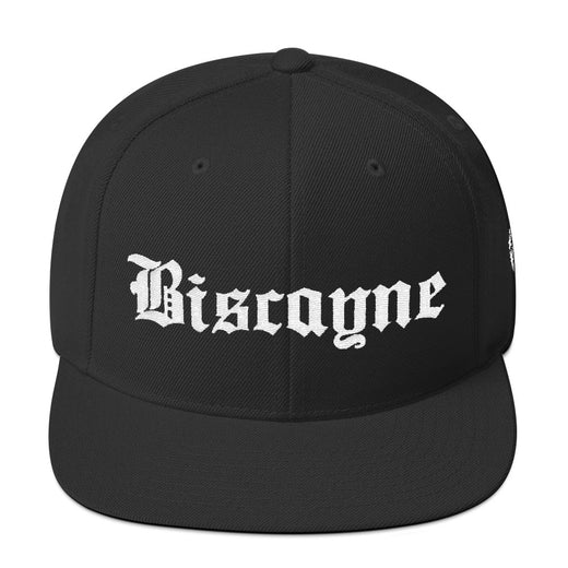 Biscayne Snapback